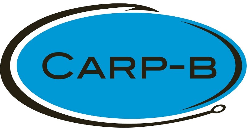 carp-b
